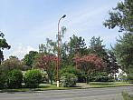 Neratovice