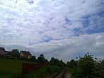 Borovina