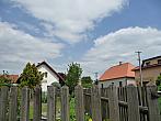 Třibřichy