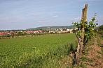 Hrušovany u Brna