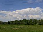 Vidov