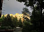 Borovina