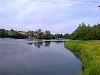 Borovina