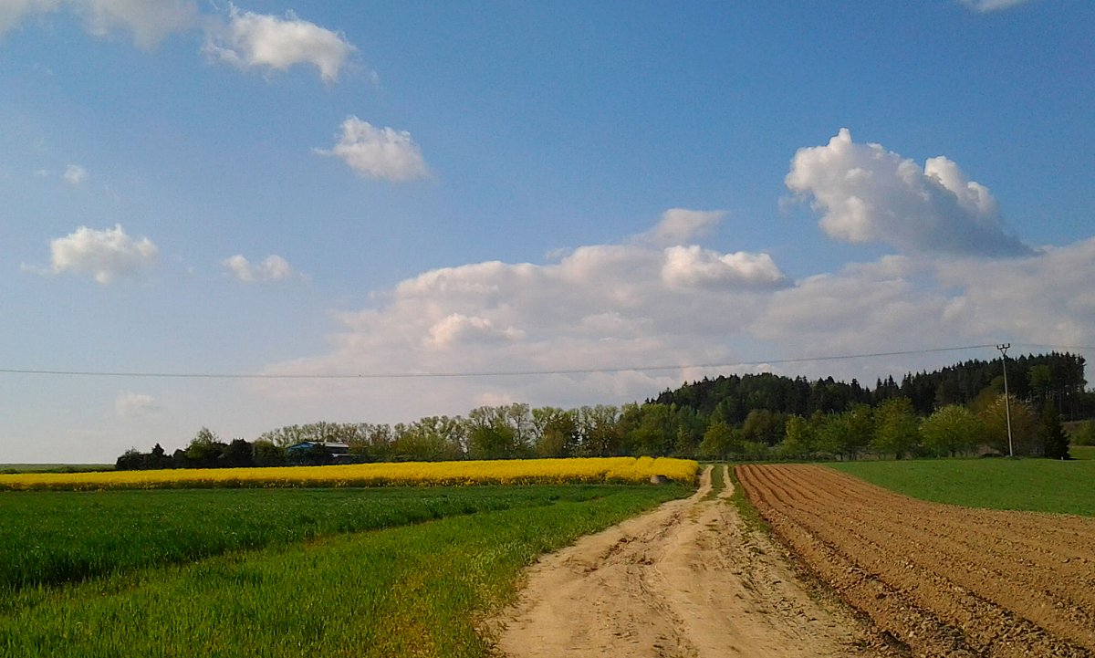 Humpolec