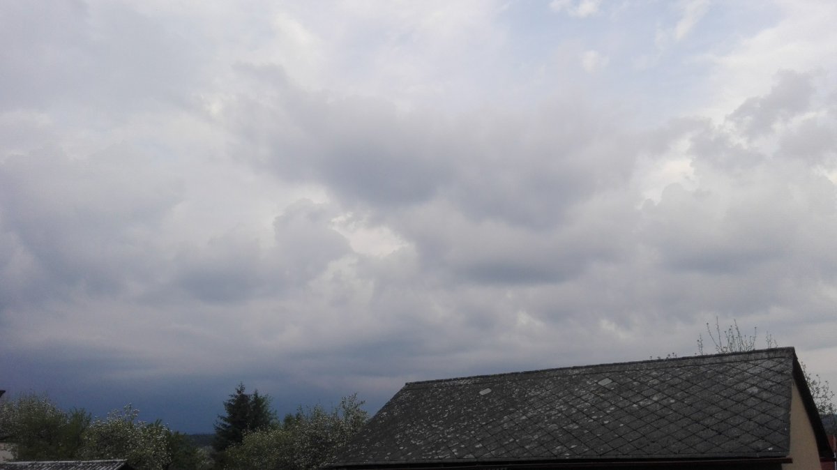 Bílá Třemešná