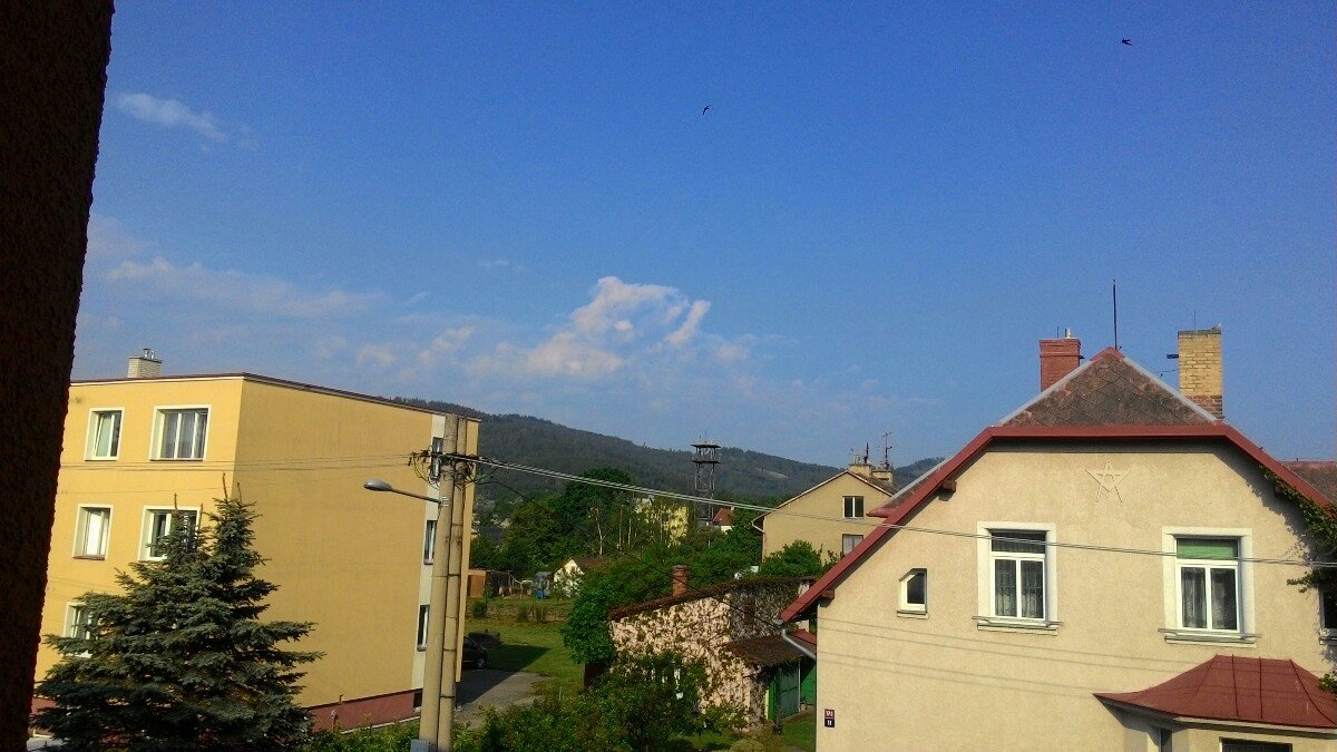 Město Albrechtice