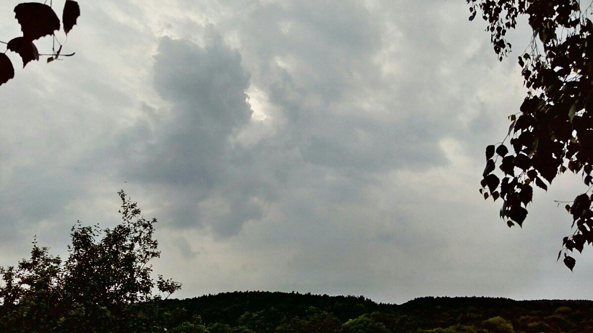 Habrovany