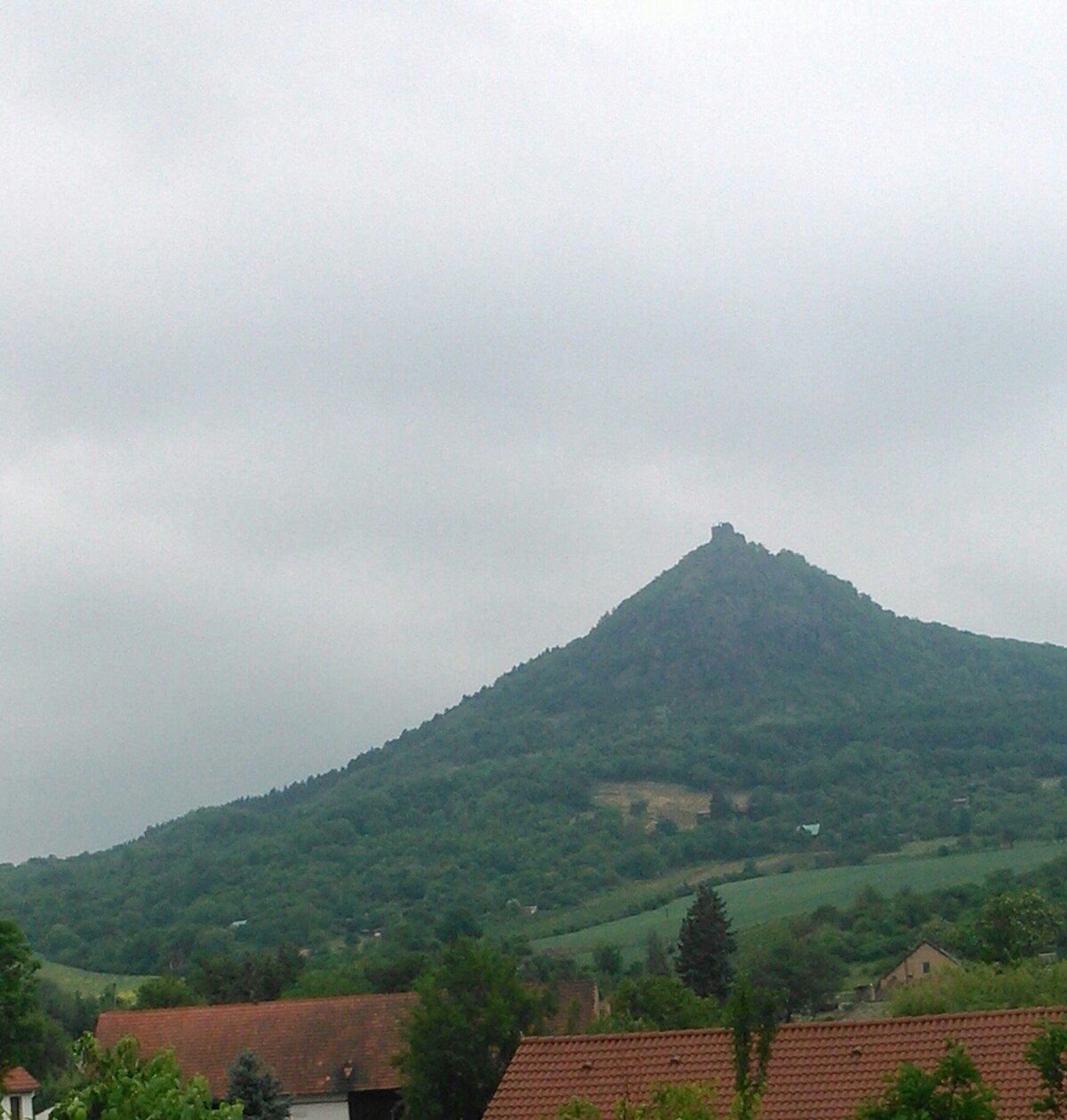 Třebenice