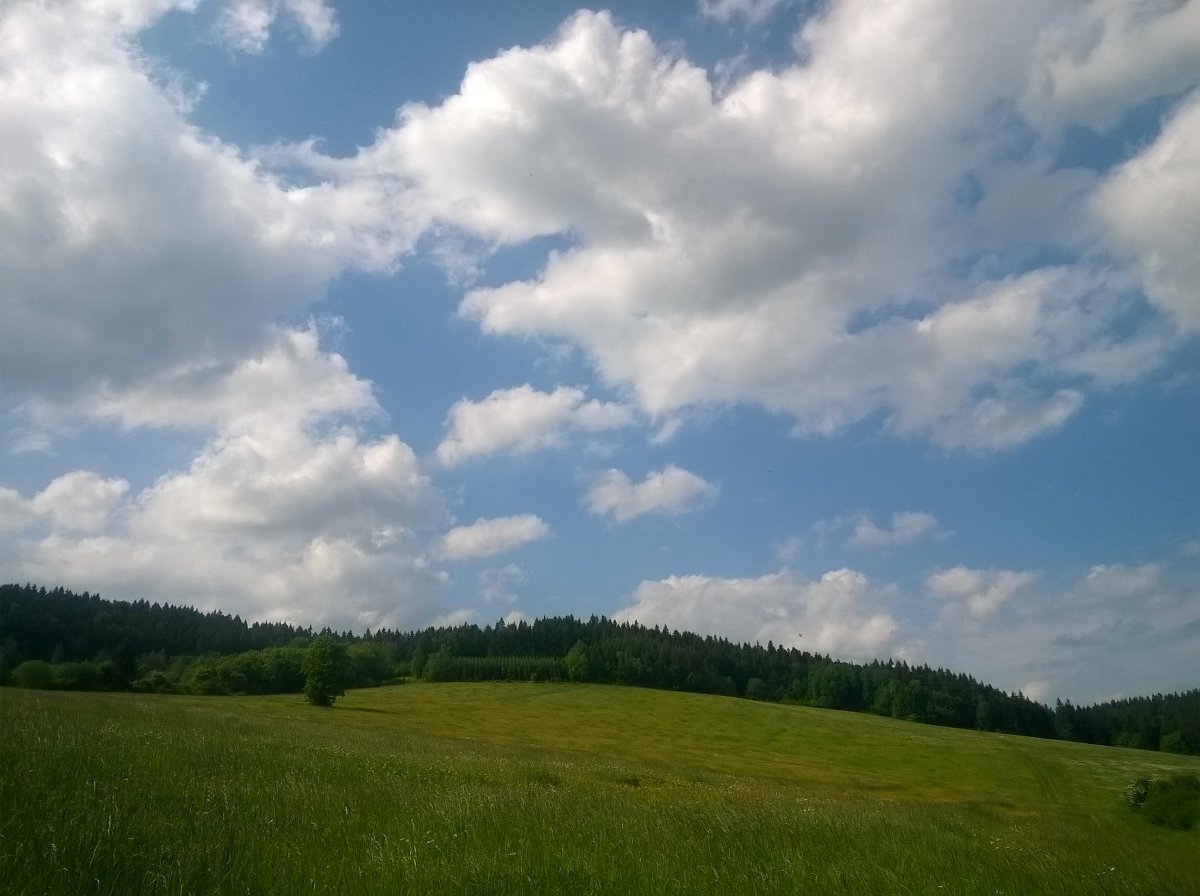 Střelná