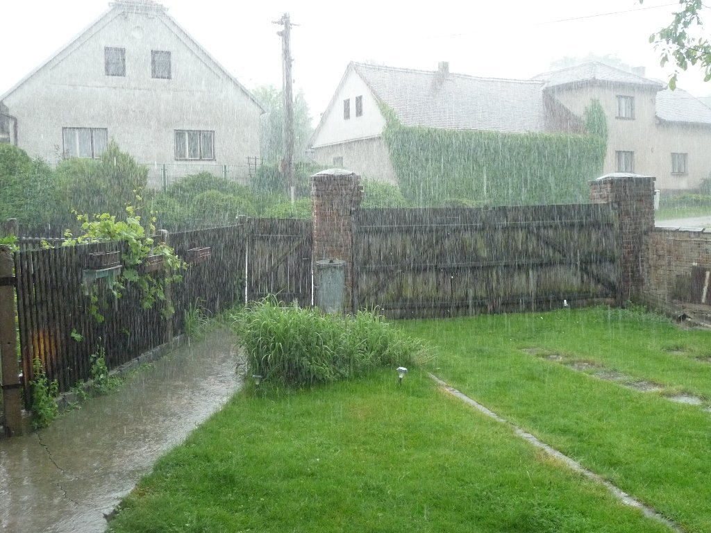 Třibřichy