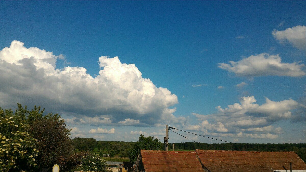 Kostice