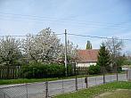 Třibřichy