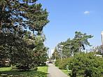 Neratovice