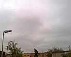 Borovina