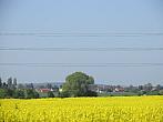 Neratovice