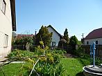 Třibřichy