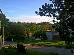 Borovina