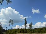 Vítkov