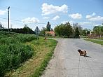 Třibřichy