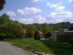 Borovina