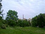 Borovina