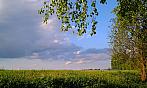Humpolec