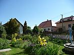 Třibřichy
