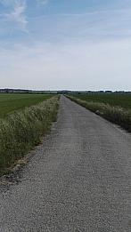 Císařov