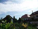 Třibřichy