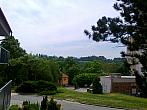 Borovina
