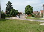 Třibřichy