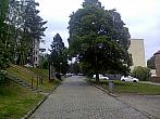 Borovina