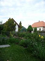 Třibřichy