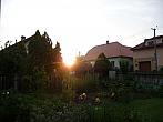 Třibřichy