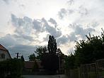 Třibřichy
