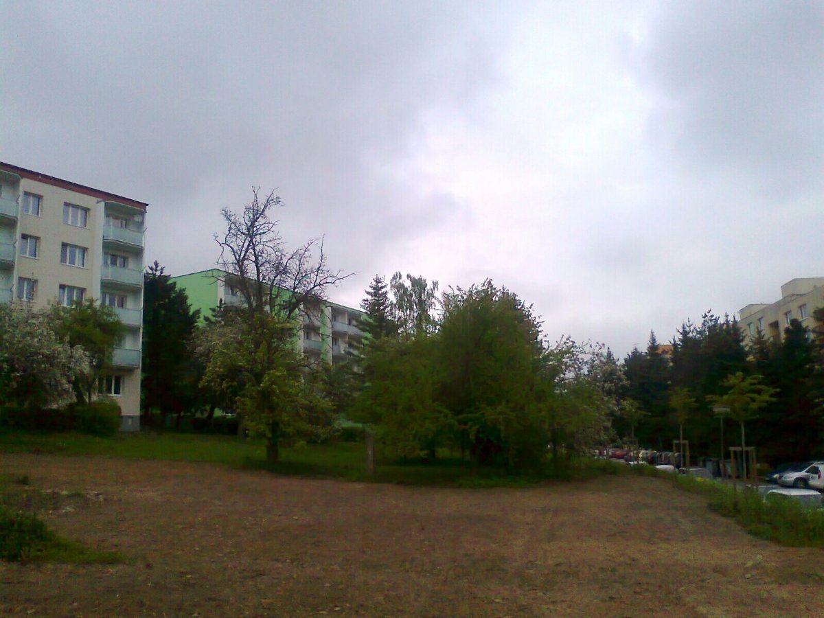 Borovina