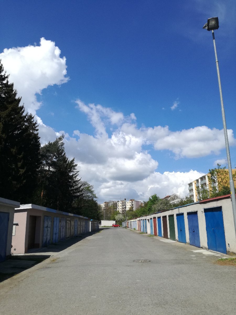 Borovina