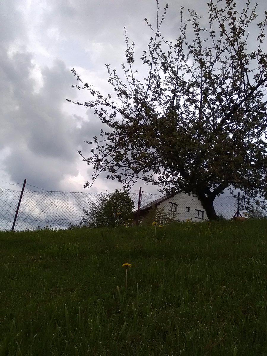 Skalité