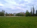 Borovina