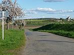 Třibřichy