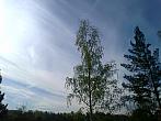 Borovina