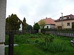 Třibřichy