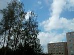 Borovina