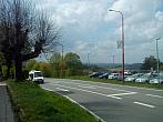 Borovina
