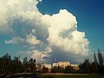 Borovina