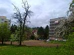 Borovina