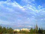 Borovina