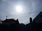 Třibřichy