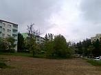 Borovina