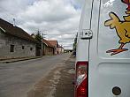 Třibřichy